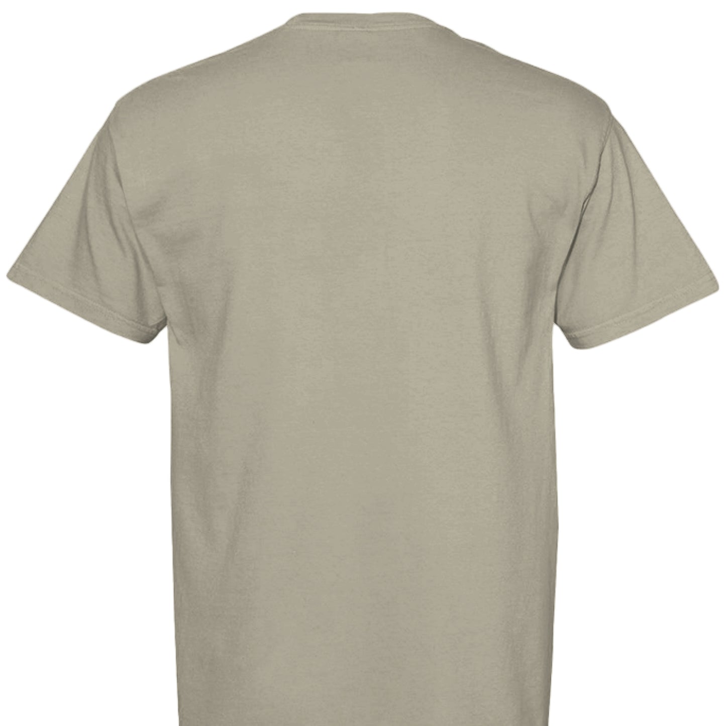 SANDSTONE - BACK